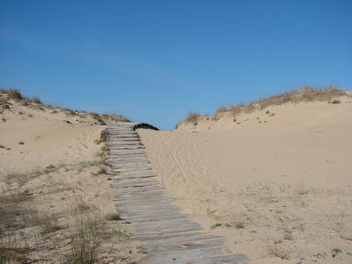 Dunas Victoria Oliva Bagian luar foto